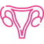 uterus